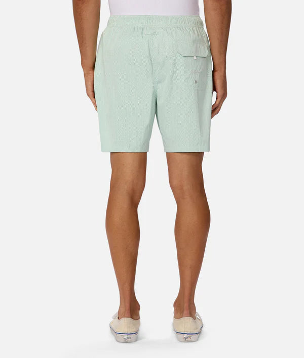 The Light Weight Anguilla Swim Short | Mint Combo